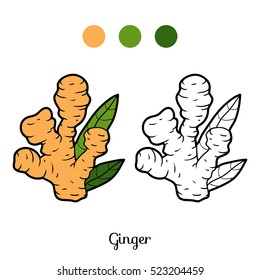 Coloring book for children, plant, Ginger