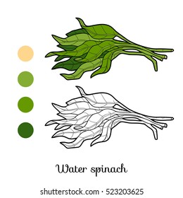 Coloring book for children, plant Water spinach