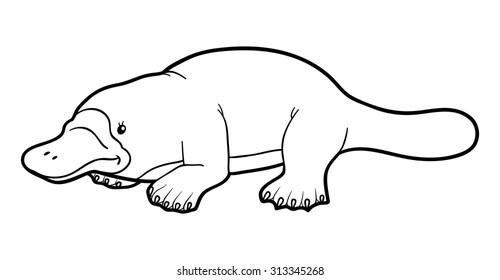 Download How To Draw A Realistic Platypus
