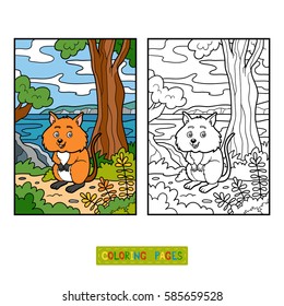 Coloring book for children, Quokka