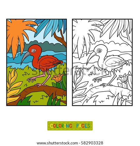 840 Top Ibis Bird Coloring Pages Pictures