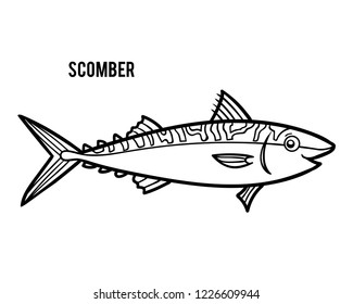Coloring book for children, Scomber