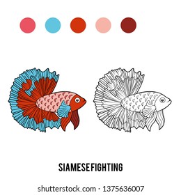 Coloring book for children, Siamese fighting fish