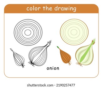 Coloring book for children. Sliced onion head in color and black and white.