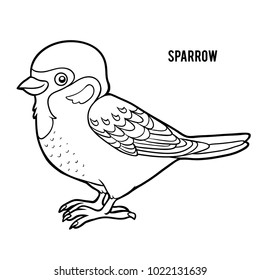 Coloring book for children, Sparrow
