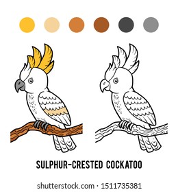 Coloring book for children, Sulphur-crested cockatoo