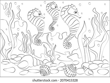 Coloring book for children. Three seahorses are swimming on the seabed. Flat vector illustration for children's books and magazines