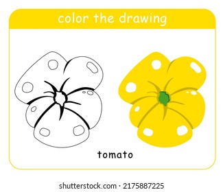 Coloring book for children. Tomatoes in color and black and white.