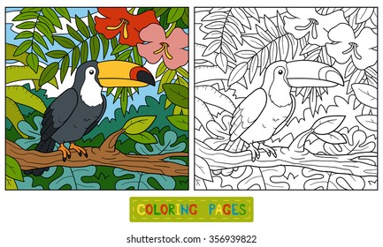 Coloring book for children (toucan and background)