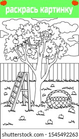 coloring book for children. translation: color the picture. Apple orchard with a fence, a staircase and a basket. Coloring pages. vector and illustration