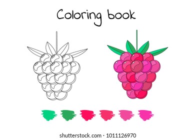 Coloring book for children. vector illustration. Raspberry Forest garden sweet berries