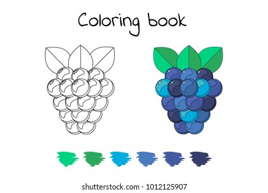 Coloring book for children. Vector illustration. berry. BlackBerry