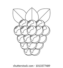 Coloring book for children. Vector illustration. berry. BlackBerry