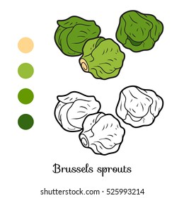 Coloring book for children, vegetables, Brussels sprouts