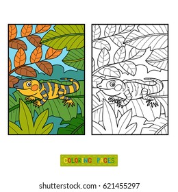 Coloring book for children, Xenosaurus