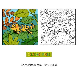 Coloring book for children, Xenosaurus