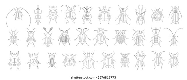 Coloring book of collection of bugs and beetles of variety types and kinds. Different insects. Nature and biodiversity insects species. Beetle set vector illustration isolated on white background.