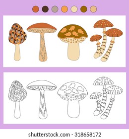 Coloring book with a contour and color example. Mushrooms: honey agaric, brown-cap boletus, morel, greasers