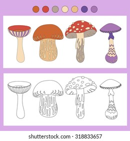 Coloring book with a contour and color example. Mushrooms: russula, cep, amanita, toadstool
