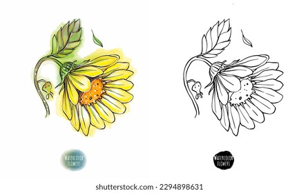 Coloring book with contour and colored flowers in watercolor style. Hobbies for relaxation and free time