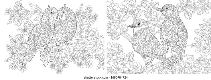 Coloring book. Couple of lovely birds in floral garden. Line art design for adult or kids colouring page in zentangle style. Vector illustration. 