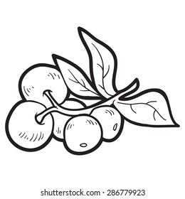 Coloring book (cranberries)