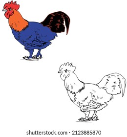 coloring book cute cartoon animal . Cute beautiful Chikend  stand up. illustration for children