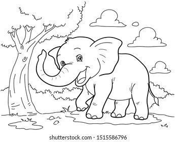 Libro para colorear lindo Vector de elefante