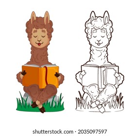 Coloring book, cute lama is reading lying down, leaning on a stack of books. Vector illustration in cartoon style, line art, flat