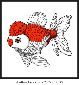 Libro para colorear lindo Oranda-GoldFish. Página para colorear y carácter colorido. 