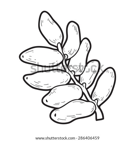 Coloring Book Dates Stock Vector (Royalty Free) 286406459 - Shutterstock