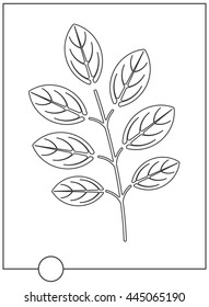 Coloring book with decorative leaves. Vector image. 