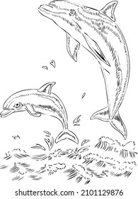 coloring book dolphin and baby, sea animals	
