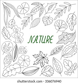  Coloring  book.  Doodles leaf, branches. Hand drawn. Black and white.Adults, children.