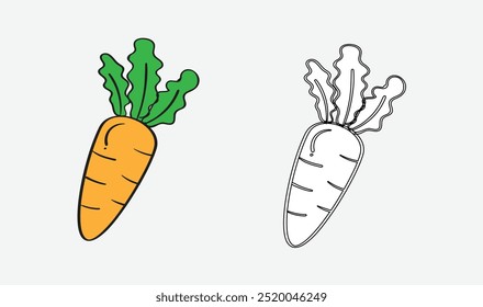 coloring book drawing orange carrot isolated carrot icon vector illustration carrot cartoon vector illustration fresh orange carrot with green leafs template