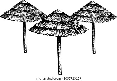 The coloring book drawing of three sun umbrellas. The outline vector illustration isolated on a white background.