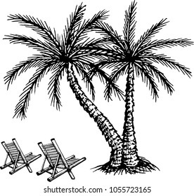 The coloring book drawing of two palm trees with deckchairs. The outline vector illustration isolated on a white background.