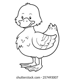 Coloring book (duck)