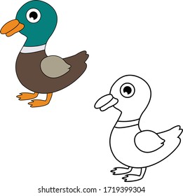 Coloring book duckling vector illustration design