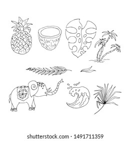 Coloring book. Elephant, tropical plants. Linear drawing. Vector illustration.