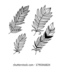 Coloring book feathers with abstract patterns.