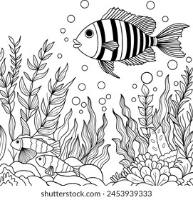 Coloring book with fish. Children's coloring book black and white, fish swim and seaweed. Fish is swimming in the ocean and is surrounded by seaweed.
