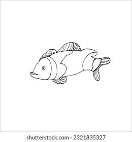 Coloring book fish, clown fish,sea fish. Vector linear illustration, black and white hand-drawn illustration highlighted on a white background