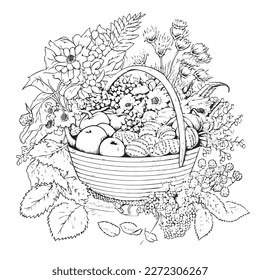 Coloring book with flowers, fruits. Hand drawn zentangle and mandala style.