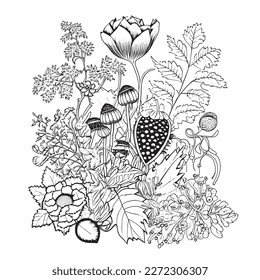 Coloring book with flowers, fruits. Hand drawn zentangle and mandala style.