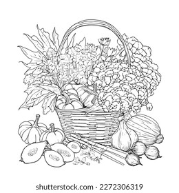 Coloring book with flowers, fruits. Hand drawn zentangle and mandala style.