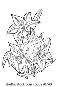  Coloring  book. Flowers. Lilies.  Hand drawn. Adults, children. Black and white vector illustration.