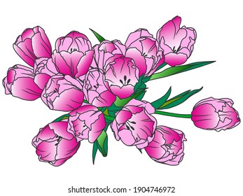 Coloring book flowers, pink tulips bloomed. Engraving vector illustration.