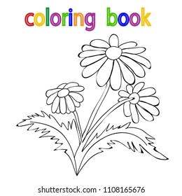 coloring book, flowers, simple