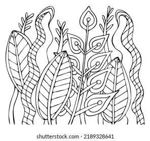 Coloring book foliage. Plant grass leaves. Hand drawn vector line art. Coloring page for children and adults.